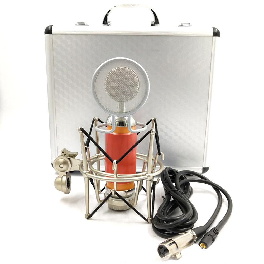 Professional Studio Condenser Microphone Set Condenser Mic Bundle for