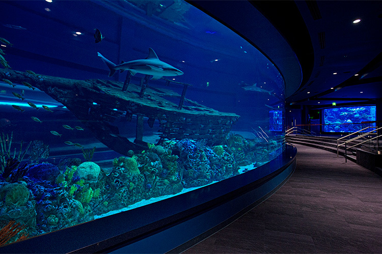 Texas State Aquarium FultonCoastcon Construction