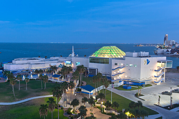 Texas State Aquarium FultonCoastcon Construction