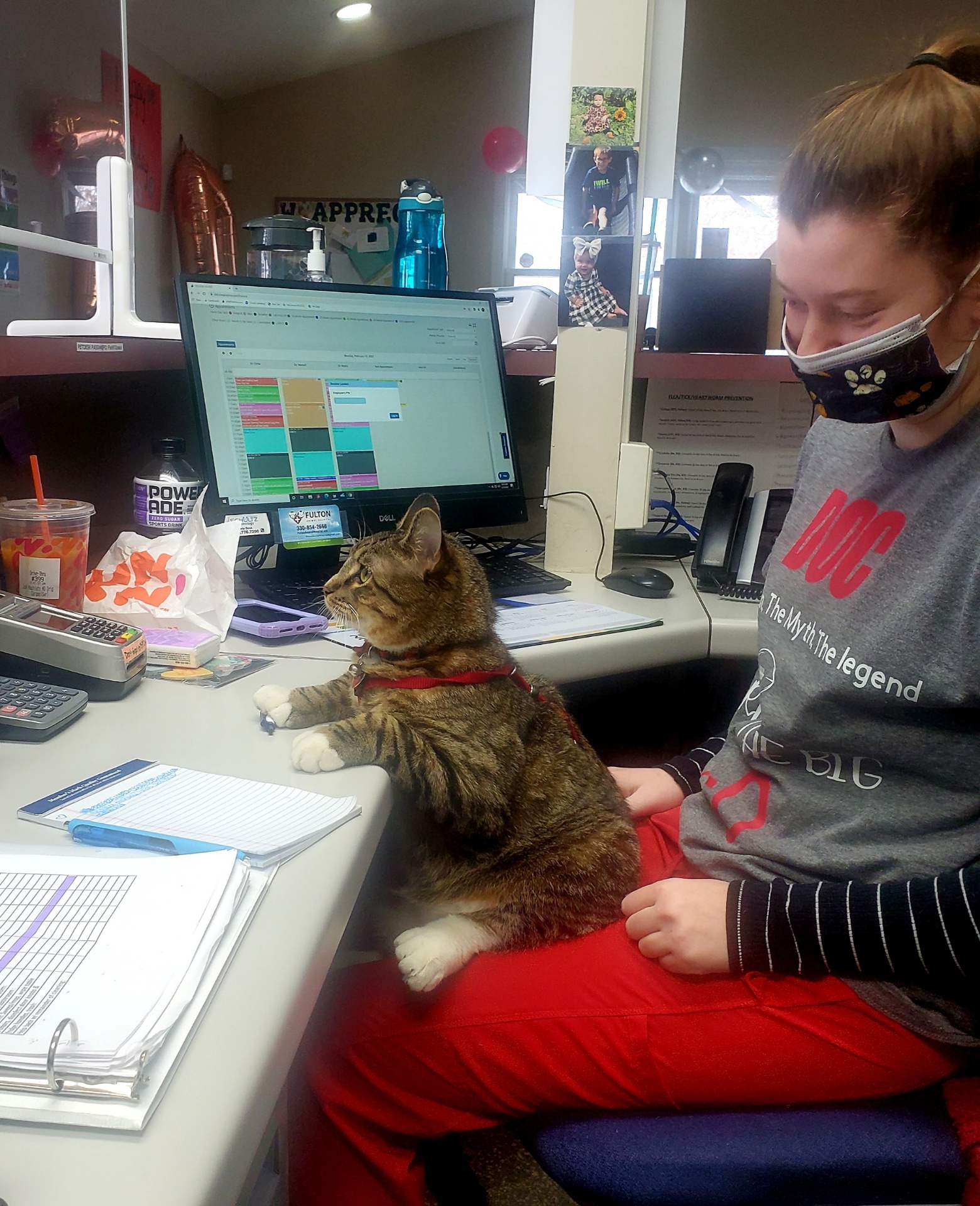 Canal Fulton, OH 44614 Veterinarian Fulton Animal Hospital