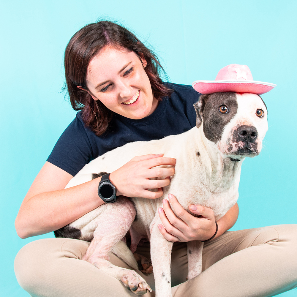 Home Fulton County Animal Services