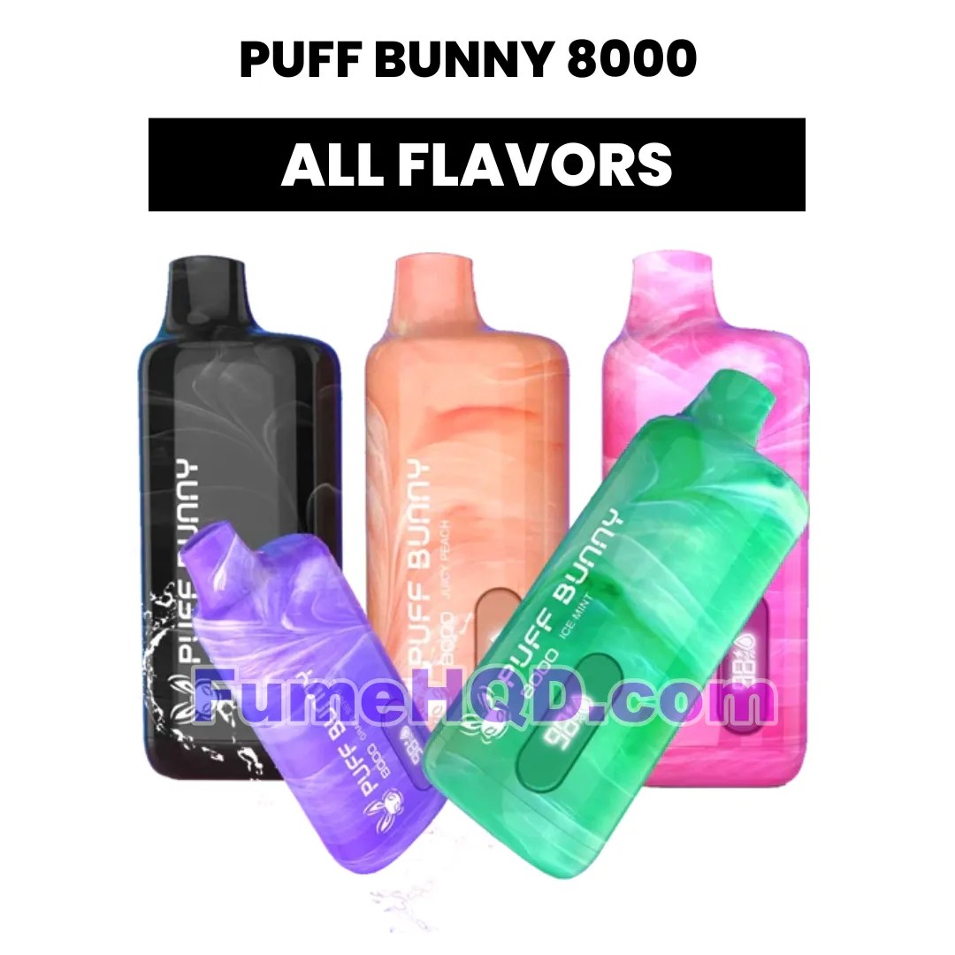 Puff Bunny 8000 Puff Disposable Vape All flavors