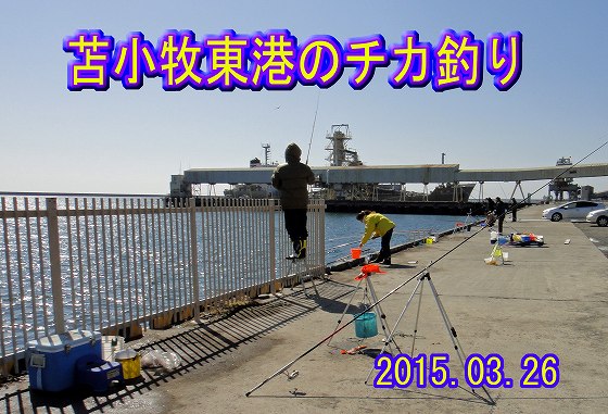 苫小牧東港のチカ釣り