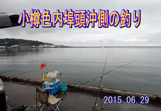 小樽色内埠頭沖側の釣り