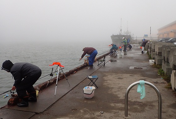 小樽色内埠頭のサバ釣り3