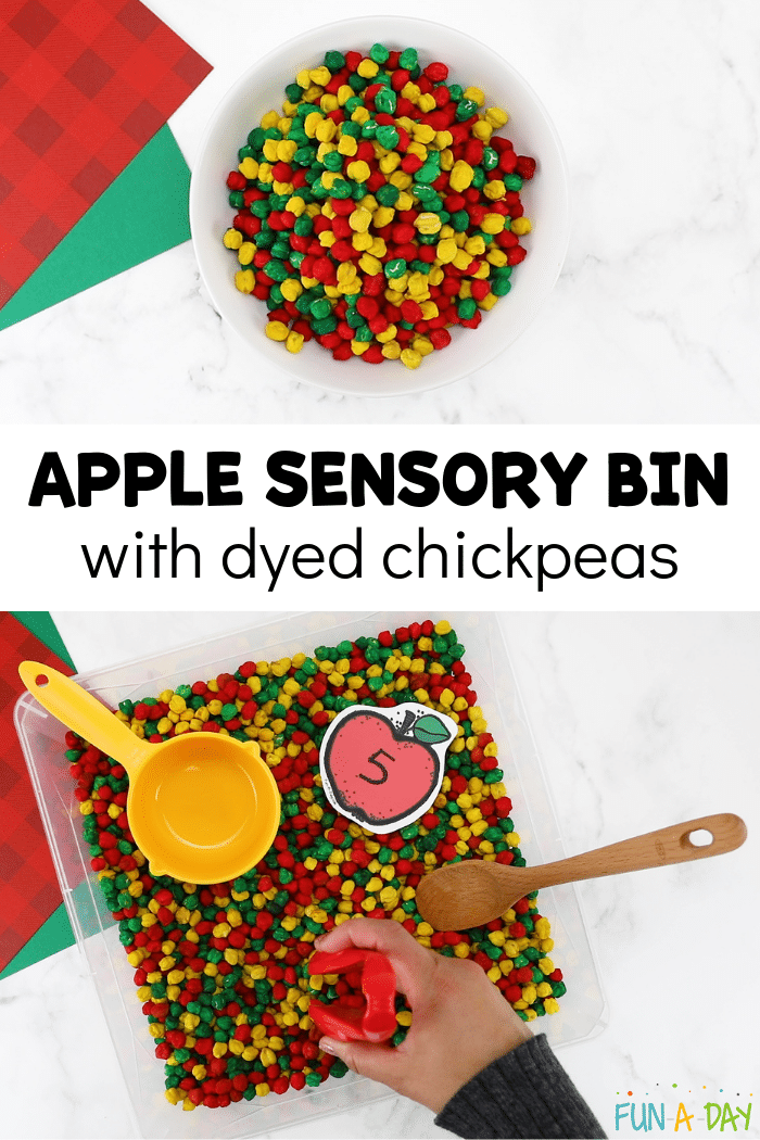 Scented Apple Sensory Bin Using Dyed Chickpeas FunADay!