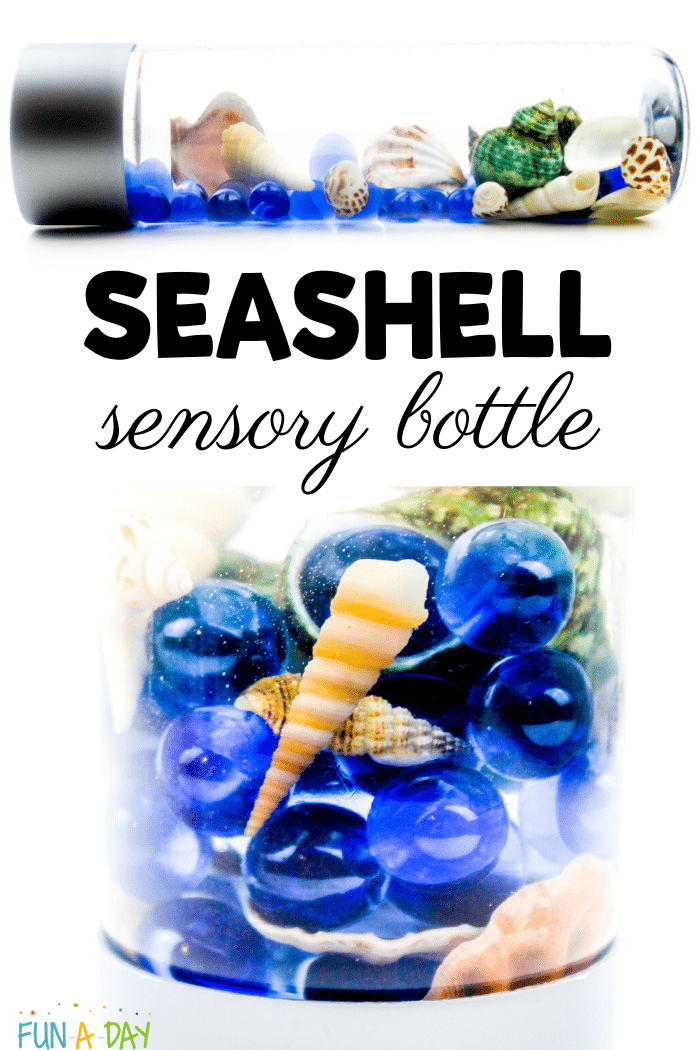 Ocean Sensory Bottle with Floating Seashells FunADay!