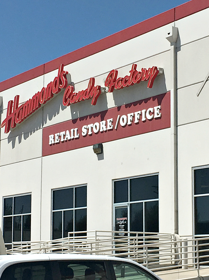 Fun Things to Do in Denver FunSquared