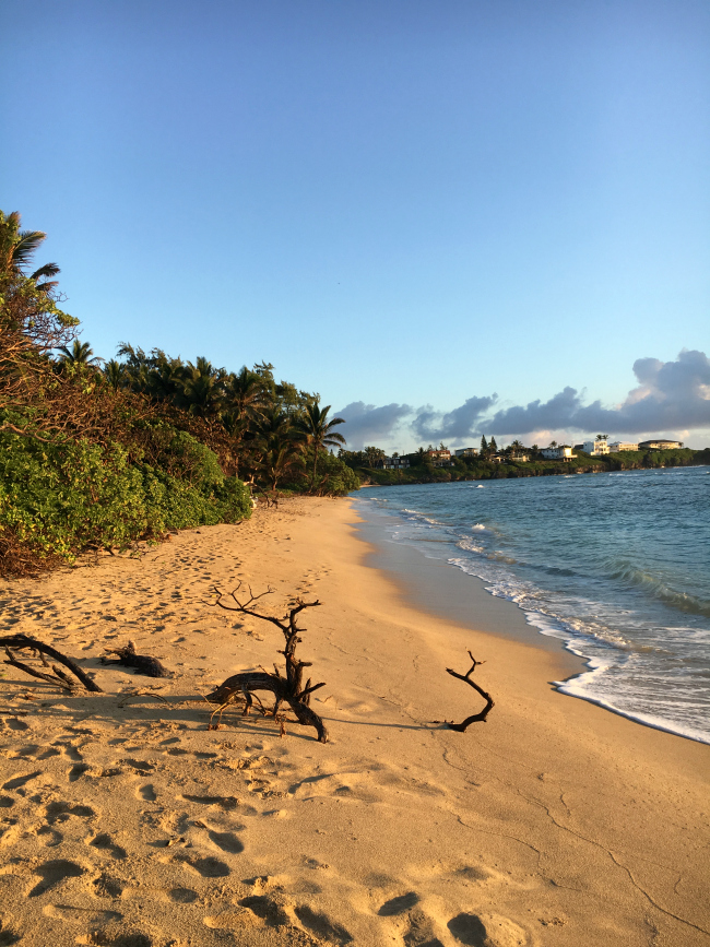 Fun Things to do on Oahu FunSquared