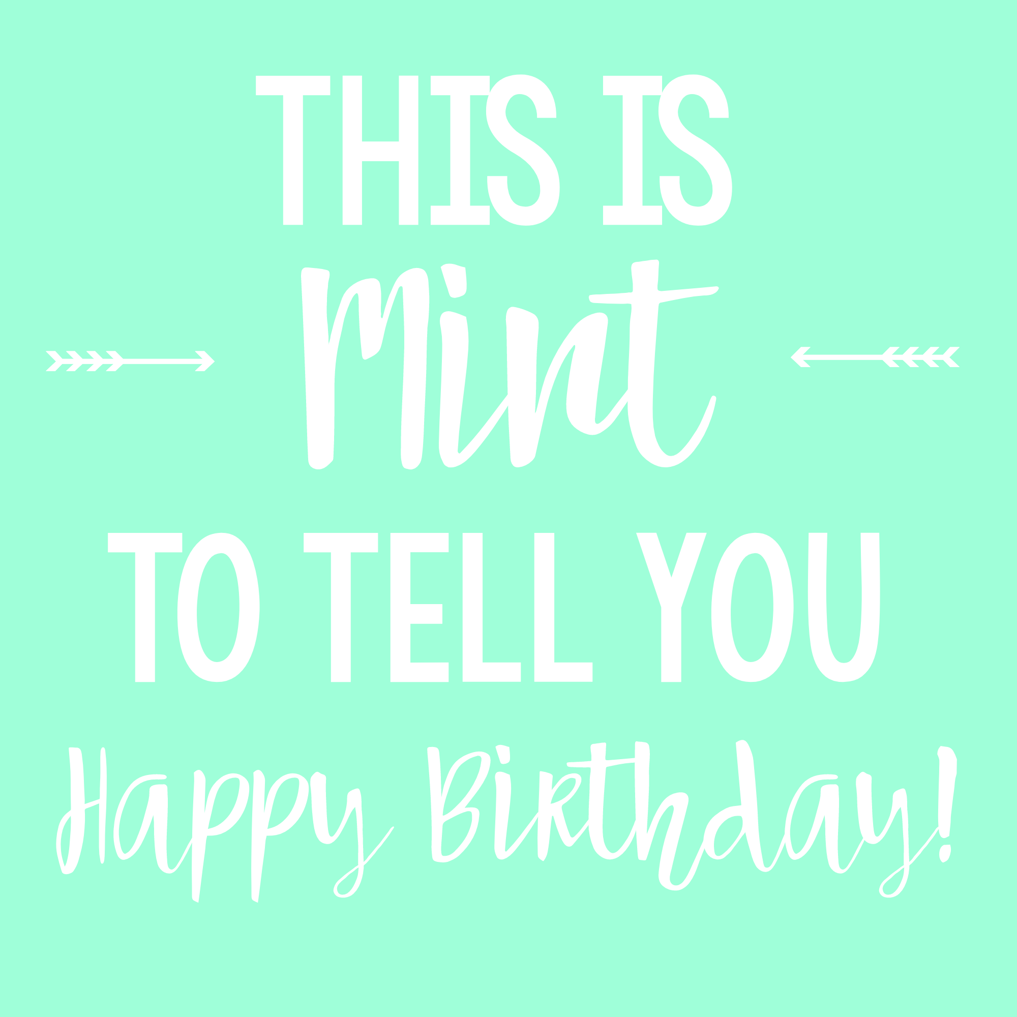 Cute Mint Themed Gift for Birthdays or Thank Yous FunSquared