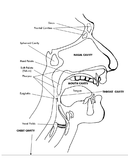 Free Singing Lessons Head Voice and Chest Voice vs. One Voice