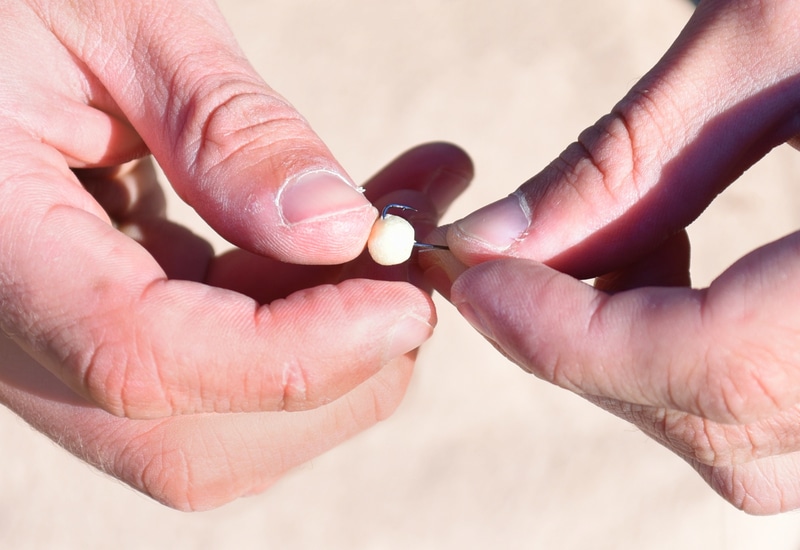 How To Fish With Corn For Trout? (5 Basic Steps) FuncFish