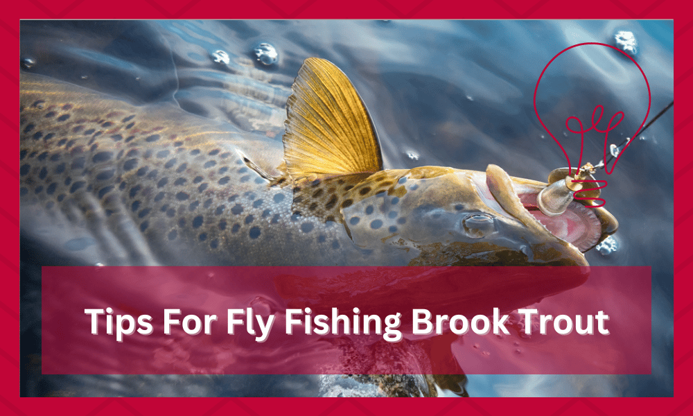 Tips For Fly Fishing Brook Trout In Lakes (Everything To Know) FuncFish