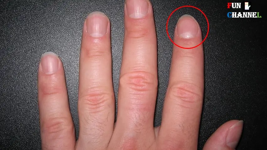 Do You Have Half Moon Shape On Your Nails?Palmistry