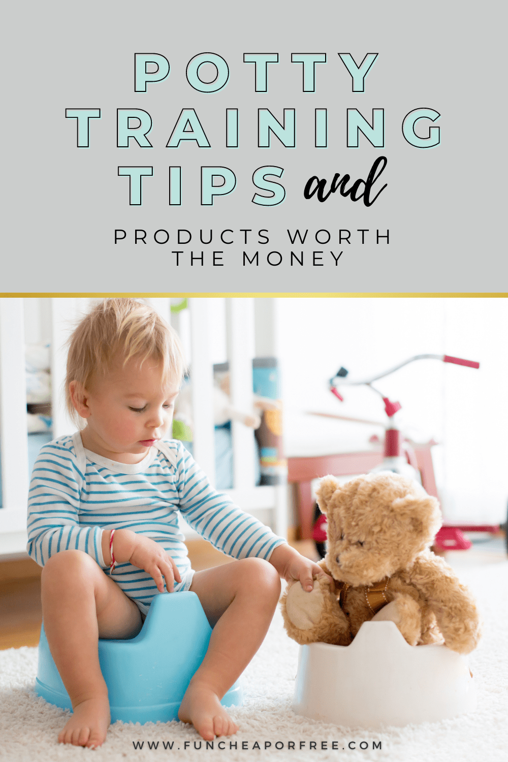 5 Potty Training Tips & MustHave Products Fun Cheap or Free