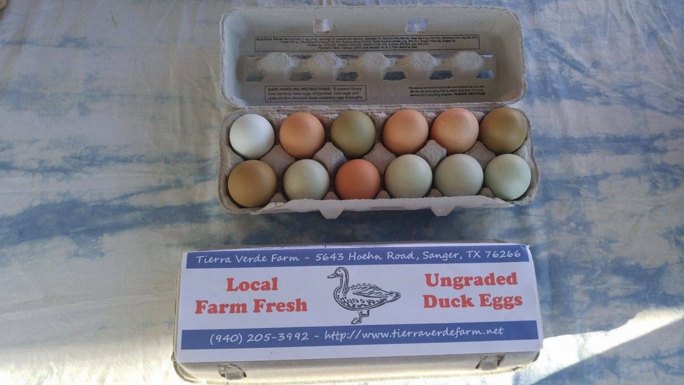 First Timers Guide to the Friendly Denton Farmers Market