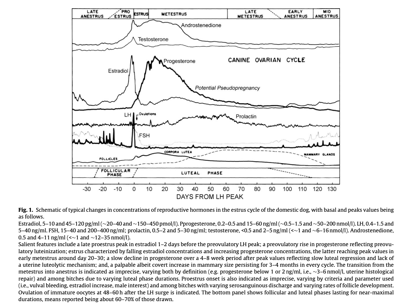 Estrous Cycle Manipulation in Dogs Functional Dog Collaborative