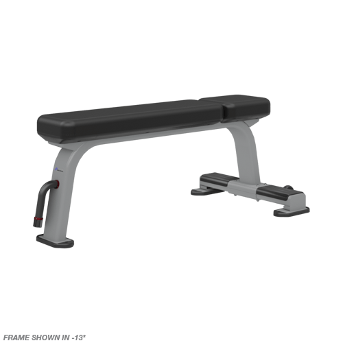 Nautilus Flat Bench Functional Fitness Products