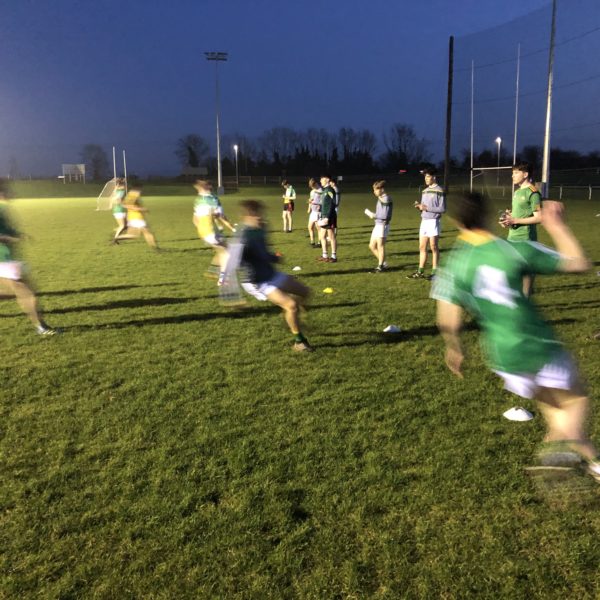 Ultimate GAA Programmes Functional Training