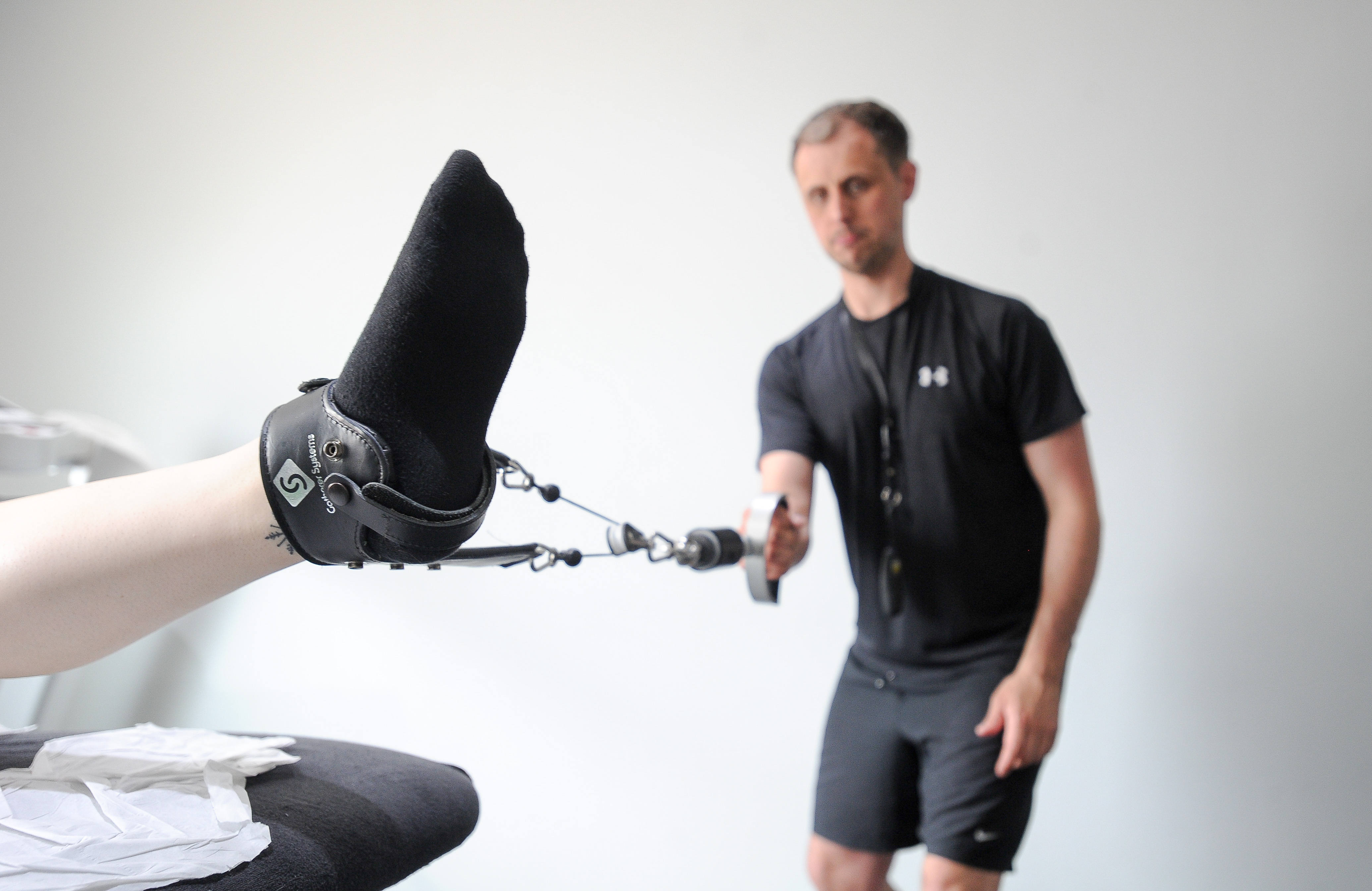 Gatherer Systems Delivered by Function Jigsaw Function Jigsaw