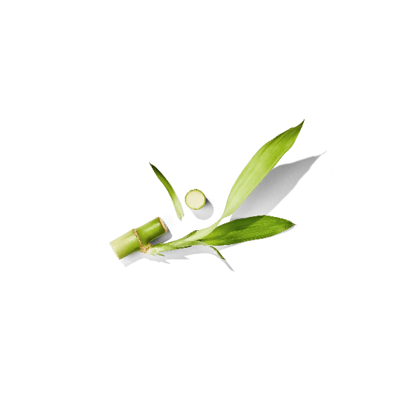 Japanese Bamboo Extract Function of Beauty