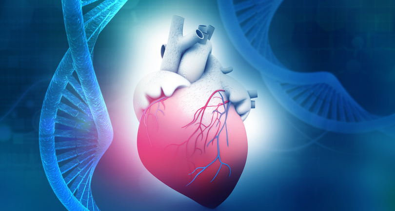 Antecedentes familiares de enfermedad cardiaca, ¿qué papel juegan