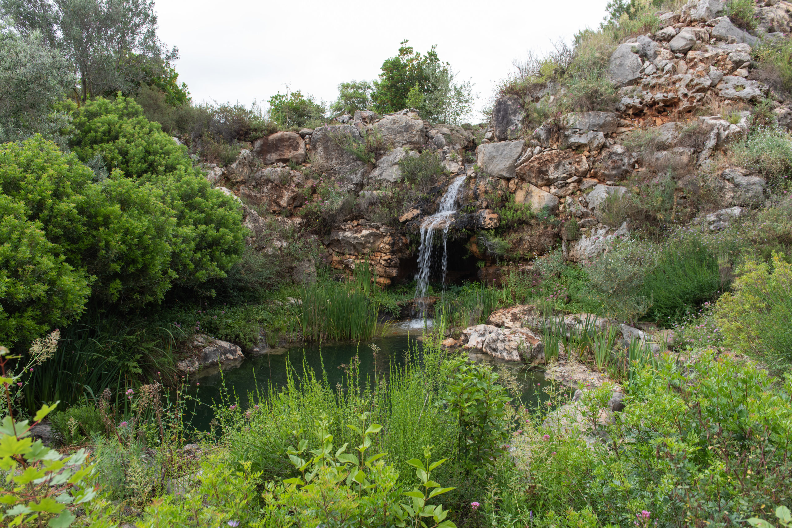 El jardín mediterráneo. Descripción Fundem