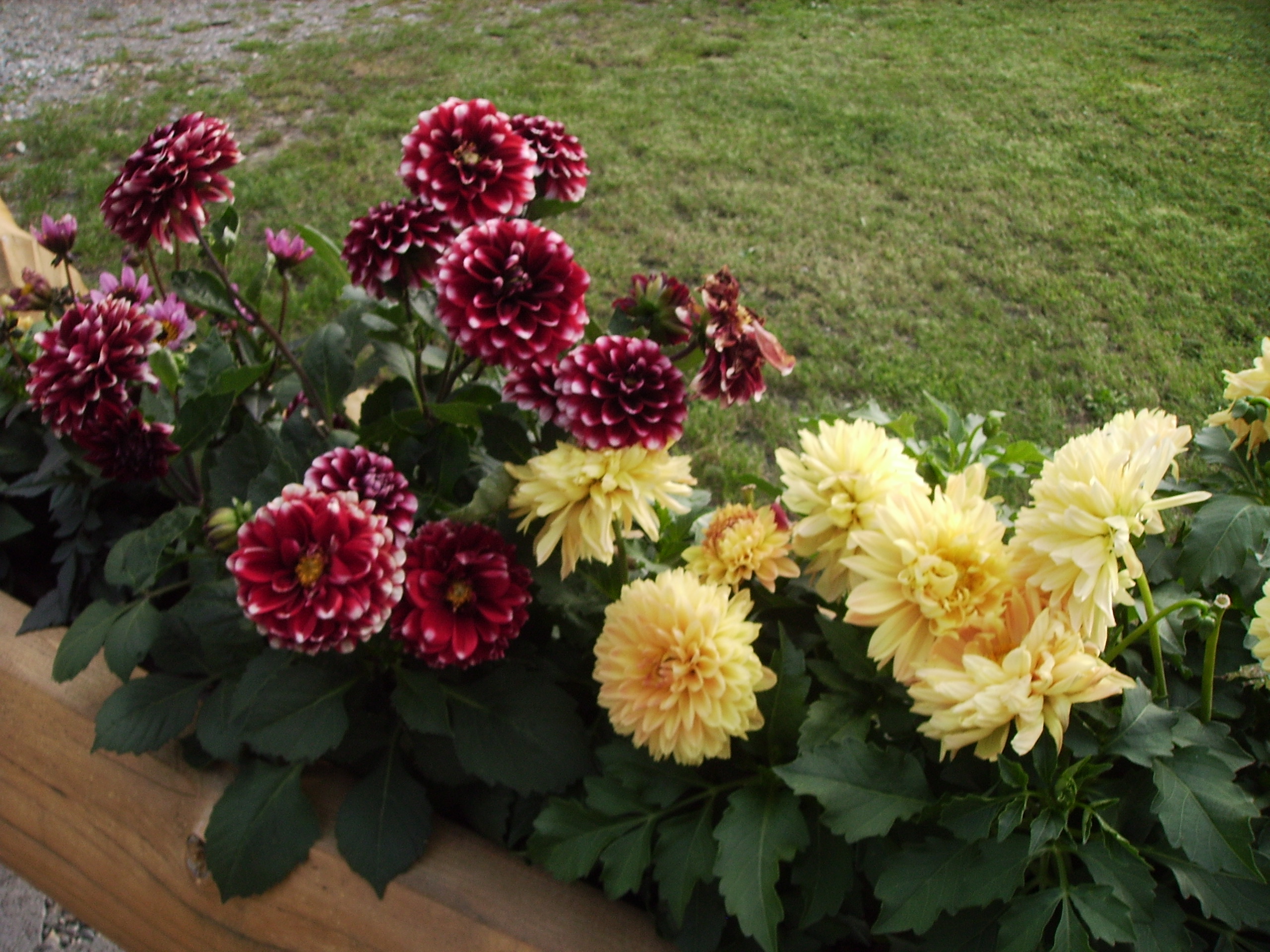 Gallerie THE FUNDERBURK WEBSITE