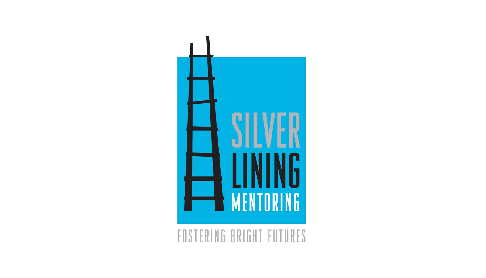 Silver Lining Mentoring Fund for Shared Insight