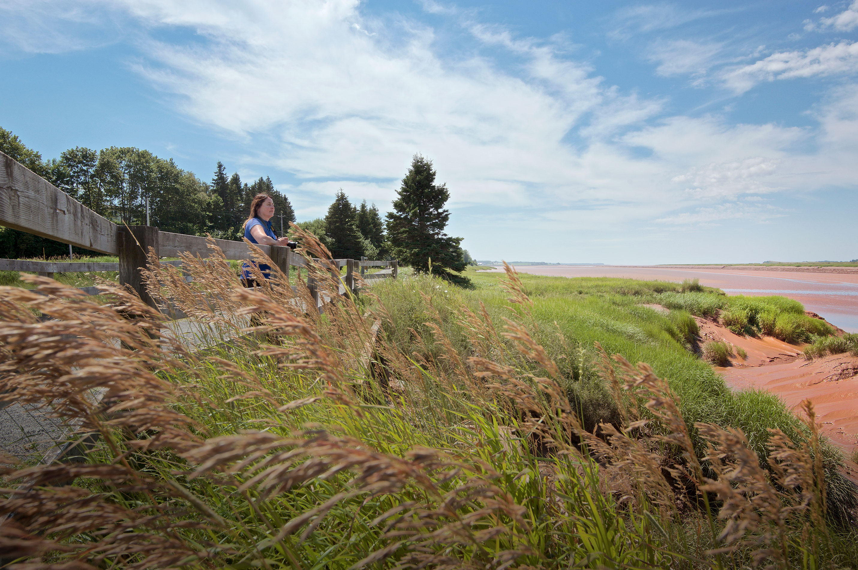 Fundy Discovery Site Be Moved By The World’s Highest Tides Truro