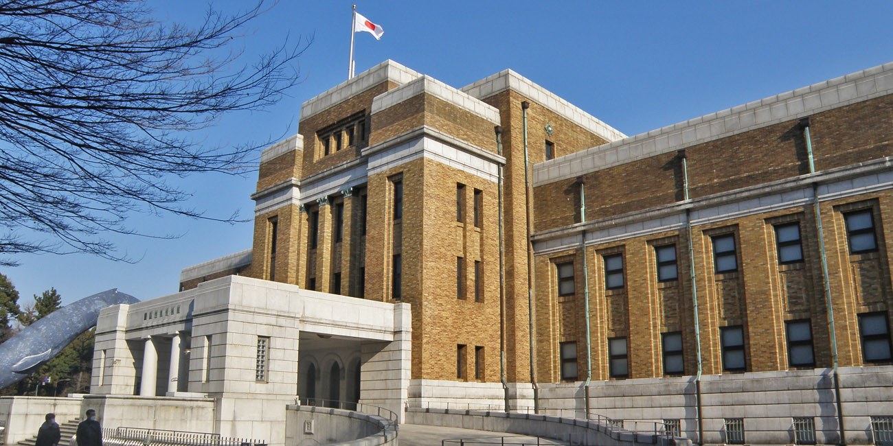 国立科学博物館、台湾/与那国島間を航海した丸木舟を速報展示 8/16から フネコ Funeco