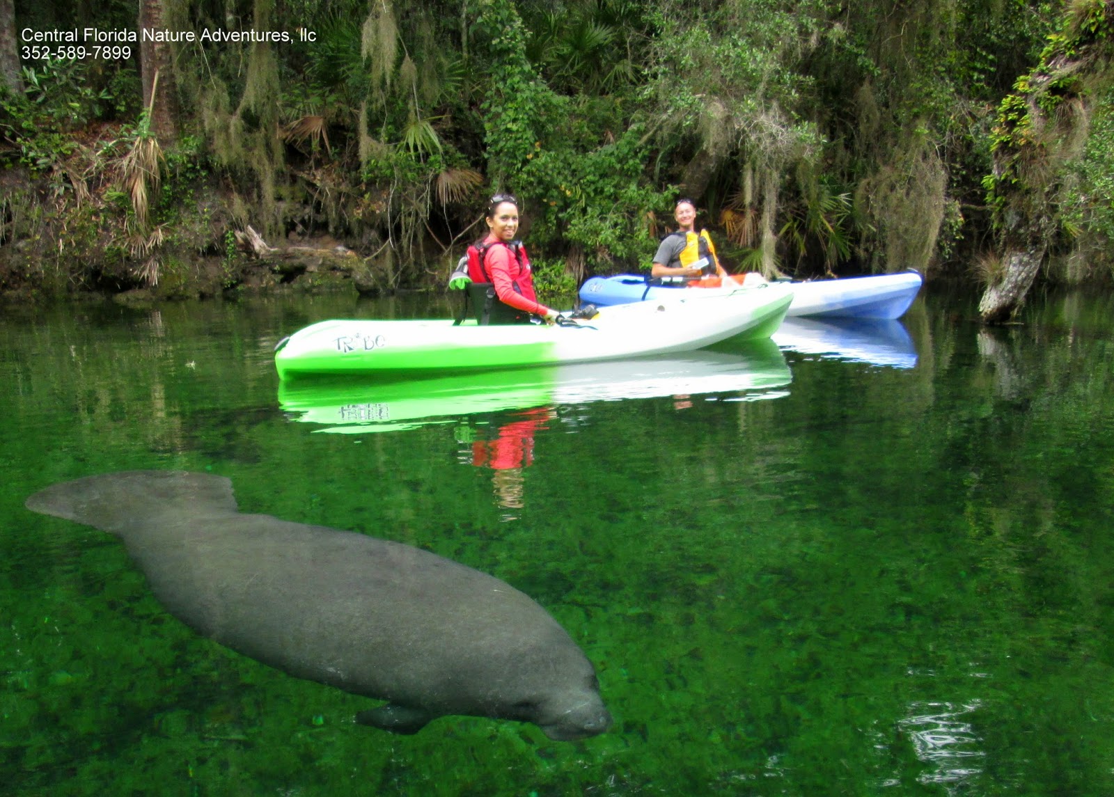 Kayaking in The Kawarthas and Black Creek in Florida's Panhandle