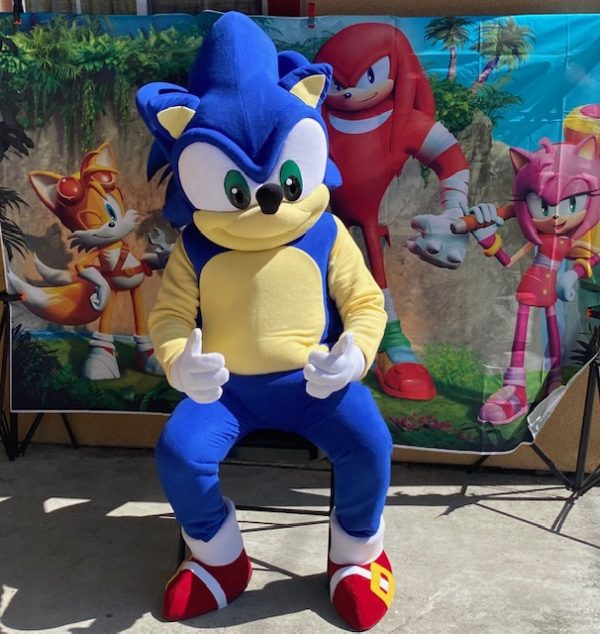 Sonic Hedgehog Mascot Costume Rentals! Fun Factory Parties
