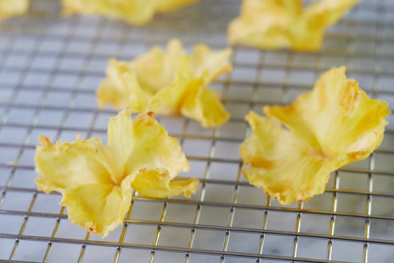 Dried Pineapple Flowers Fun Family Crafts