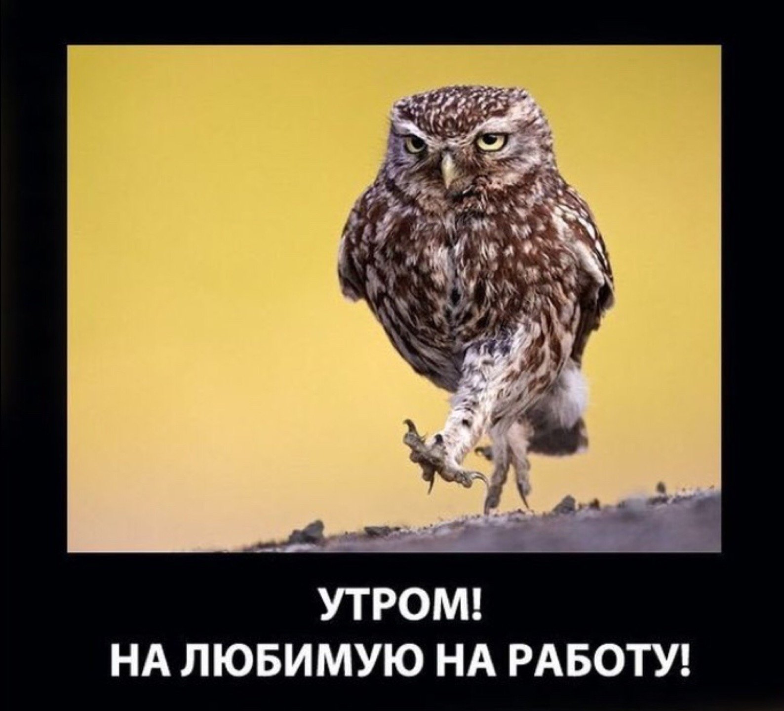 Демотиваторы про работу (74 картинок)