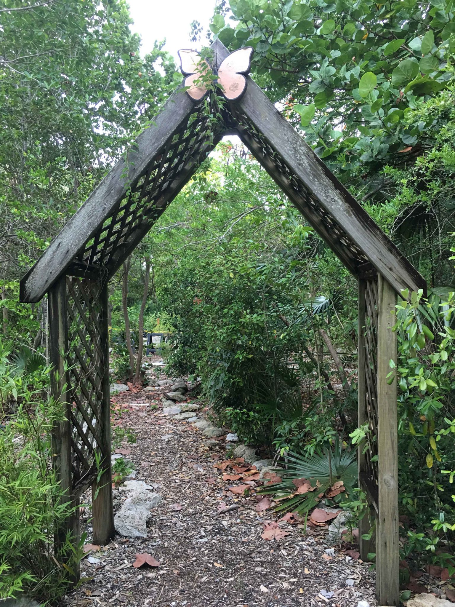 Key West Botanical Garden a Quiet spot from the Crowds Fun in Key West