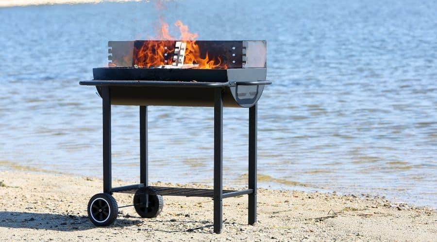 Best Grills For Ocean Air (Top 5) Fun In The Yard