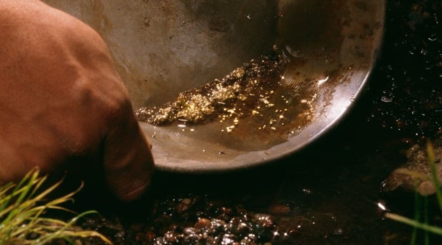 Is There Gold In My Backyard Fun In The Yard