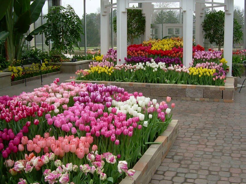 Garfield Park Conservatory and Sunken Gardens Fun Junkie