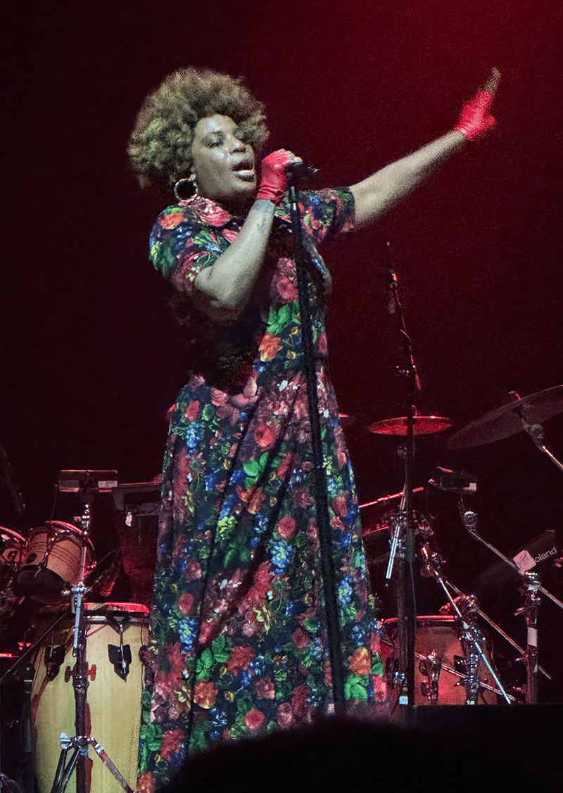 Review Macy Gray Live in Atlanta Funkatopia