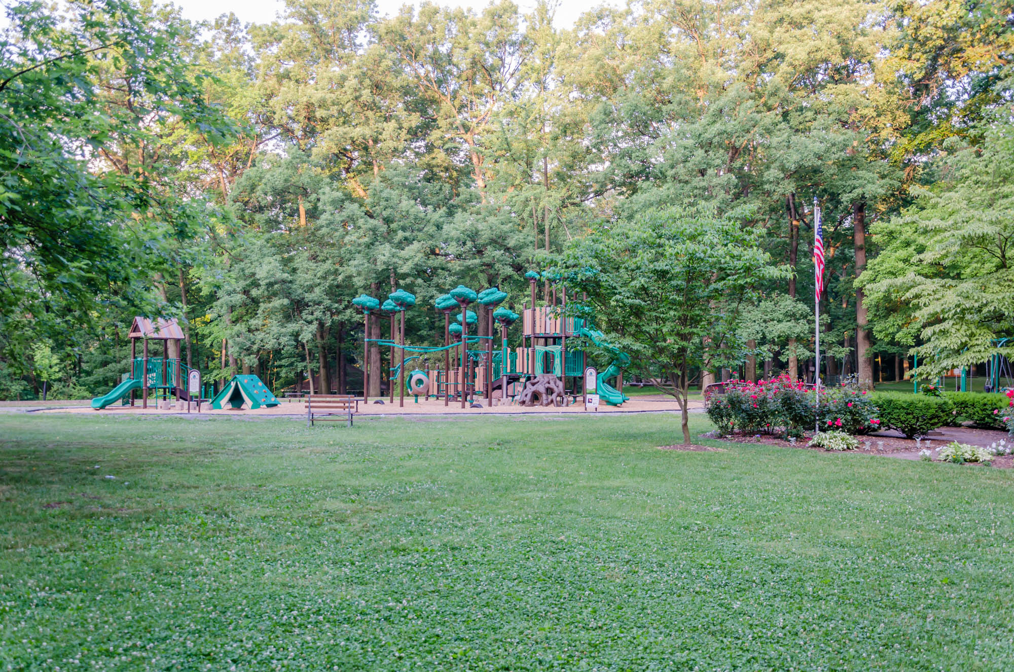 Coleman Park Funk Construction