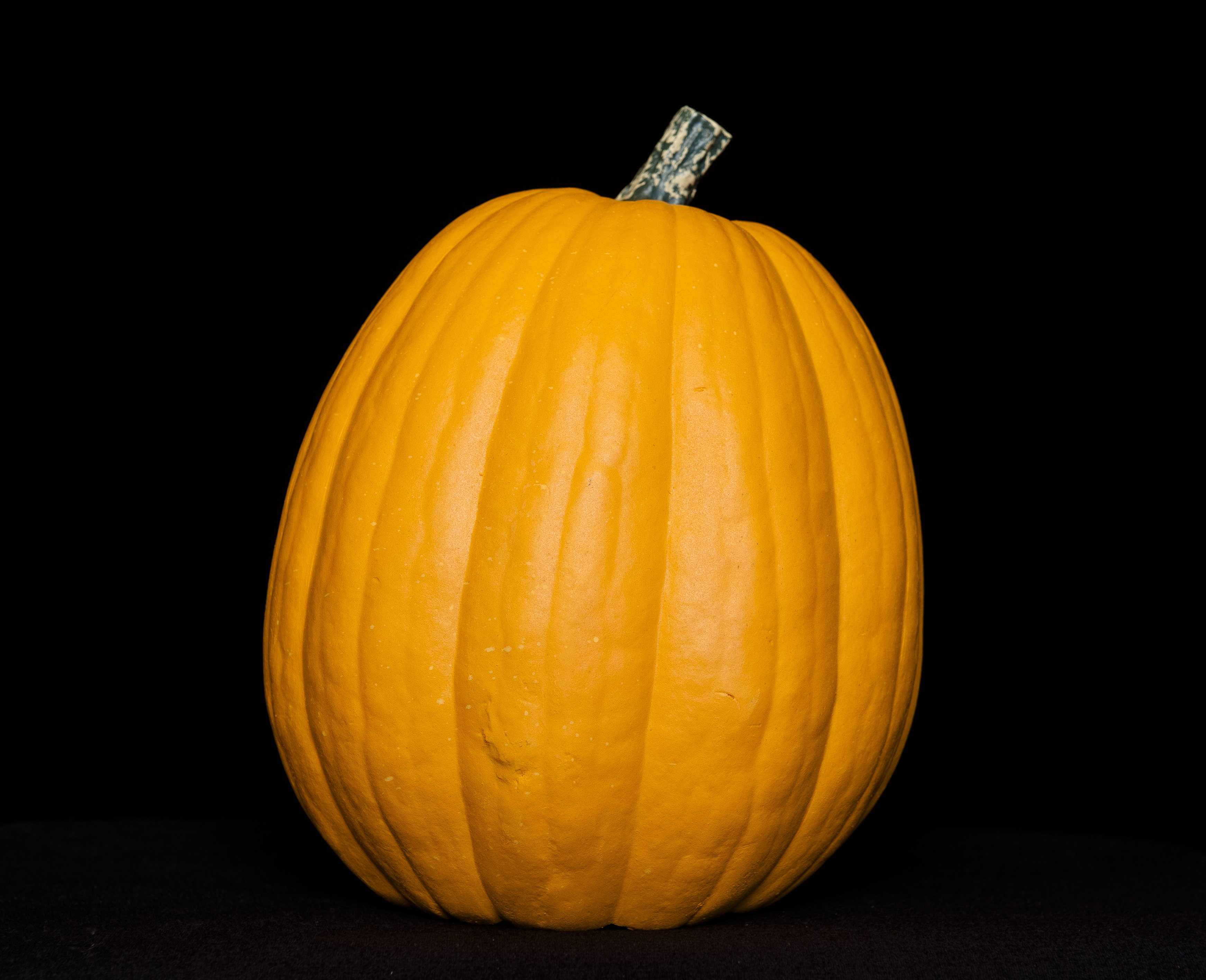 MAGGIE FUNKIN W7″ H9.5″ FunKins