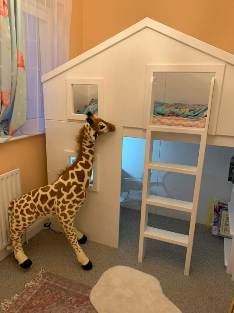 Home Single Sleeper Funky Bunk Beds