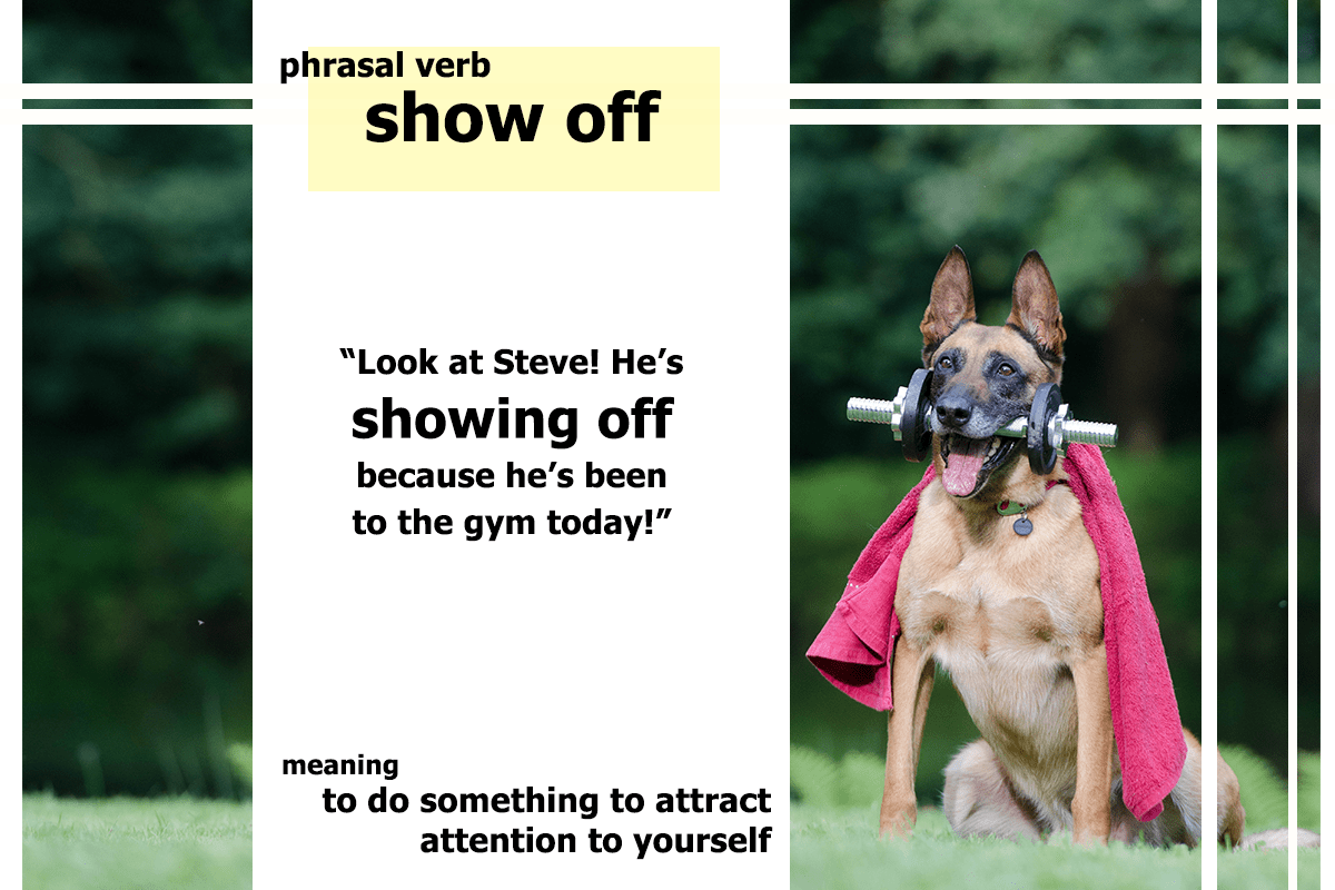 Phrasal Verb Show Off Funky English