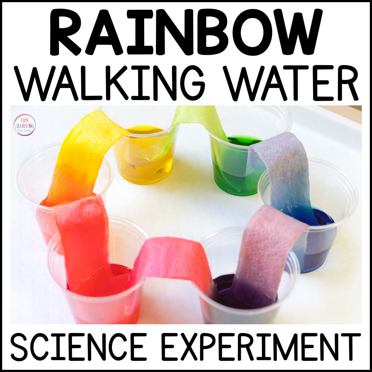 Grow a Rainbow Science Experiment Audit Student(03)
