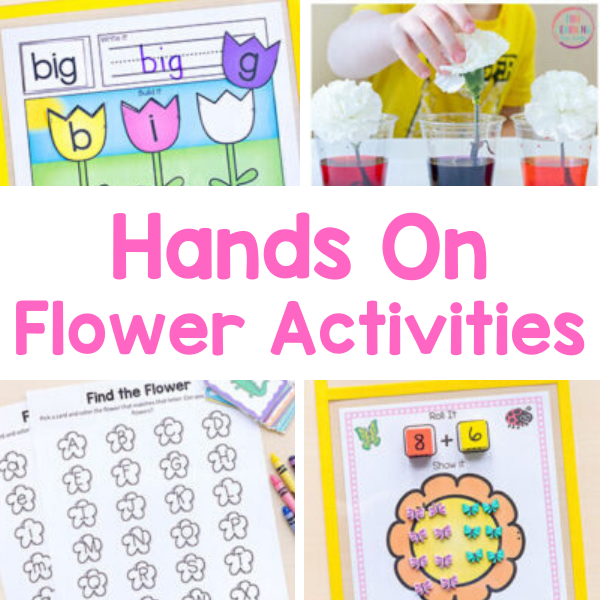 Flower Theme Activities for Preschool and Kindergarten