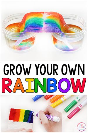 Grow a Rainbow Science Experiment – Audit Student