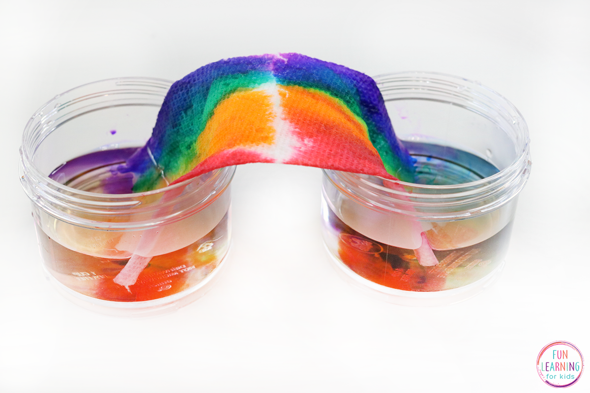 Grow a Rainbow Science Experiment – Audit Student