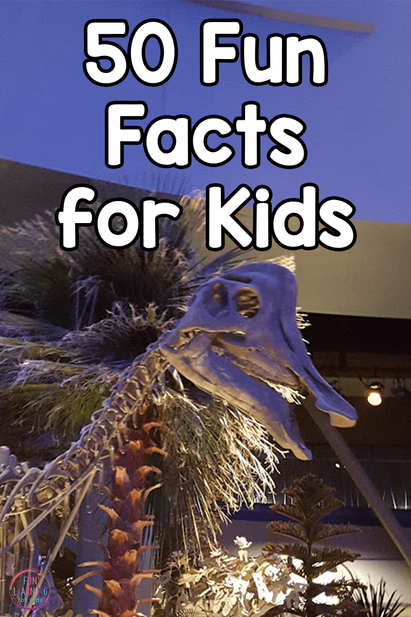 50 Fun Facts that will Shock and Amaze You