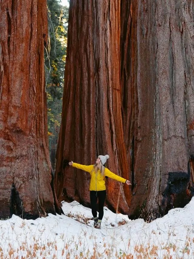 15 Best Destinations In California In Winter Story